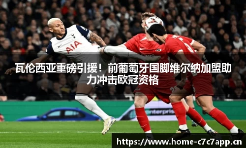 c7娱乐